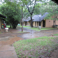 фото из отзыва ID 239822