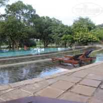 фото из отзыва ID 239822