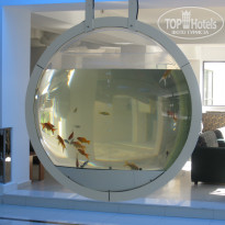 фото из отзыва ID 2393818