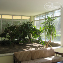 фото из отзыва ID 2393818