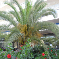 фото из отзыва ID 2393818