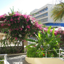 фото из отзыва ID 2393818