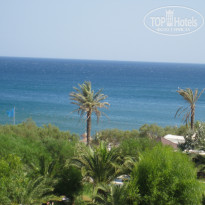 фото из отзыва ID 2393818