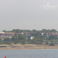 фото из отзыва ID 240029