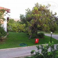 фото из отзыва ID 240029