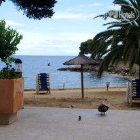 фото из отзыва ID 241150