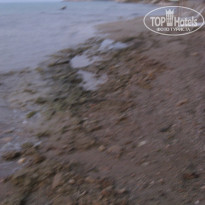 фото из отзыва ID 241315