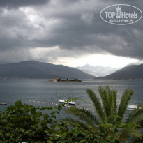 фото из отзыва ID 241353