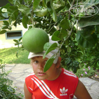 фото из отзыва ID 241543