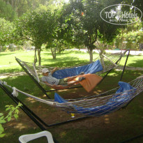 фото из отзыва ID 241543