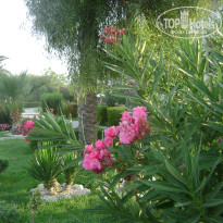 фото из отзыва ID 241543