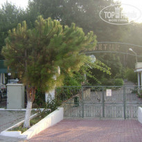 фото из отзыва ID 241543