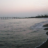 фото из отзыва ID 241618