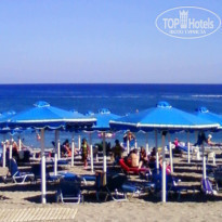 фото из отзыва ID 241664