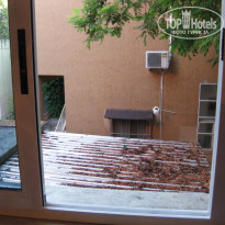 фото из отзыва ID 241912