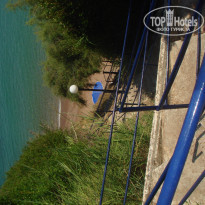 фото из отзыва ID 241960