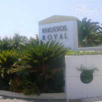 фото из отзыва ID 241922