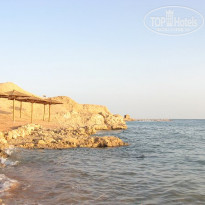 фото из отзыва ID 242258