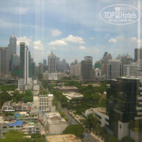 фото из отзыва ID 243331