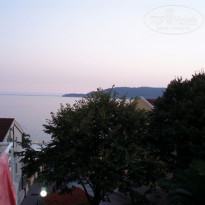 фото из отзыва ID 243743