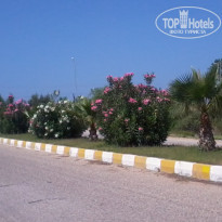 фото из отзыва ID 243794