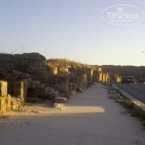 фото из отзыва ID 243794