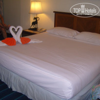 фото из отзыва ID 243969