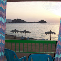 фото из отзыва ID 243987