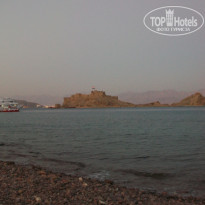 фото из отзыва ID 243987