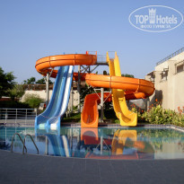 фото из отзыва ID 244230