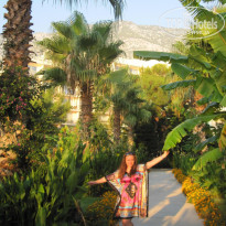 фото из отзыва ID 244395