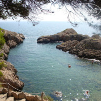 фото из отзыва ID 244518