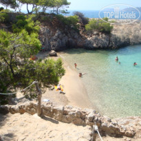 фото из отзыва ID 244518