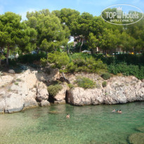 фото из отзыва ID 244518