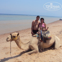 фото из отзыва ID 244778