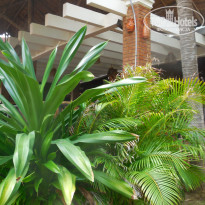 фото из отзыва ID 2446623