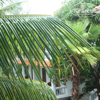 фото из отзыва ID 2446623