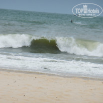 фото из отзыва ID 2446623