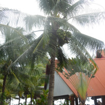 фото из отзыва ID 2446623