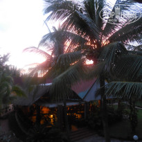 фото из отзыва ID 2446623