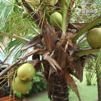 фото из отзыва ID 2446623