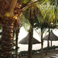 фото из отзыва ID 2446623