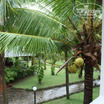 фото из отзыва ID 2446623