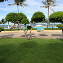 фото из отзыва ID 2441161