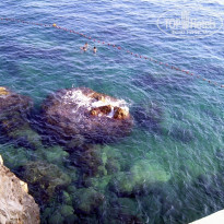 фото из отзыва ID 245035