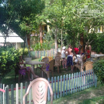 фото из отзыва ID 245046