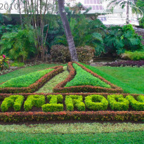 фото из отзыва ID 245346