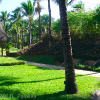 фото из отзыва ID 245346