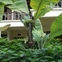 фото из отзыва ID 245354