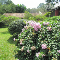 фото из отзыва ID 245558